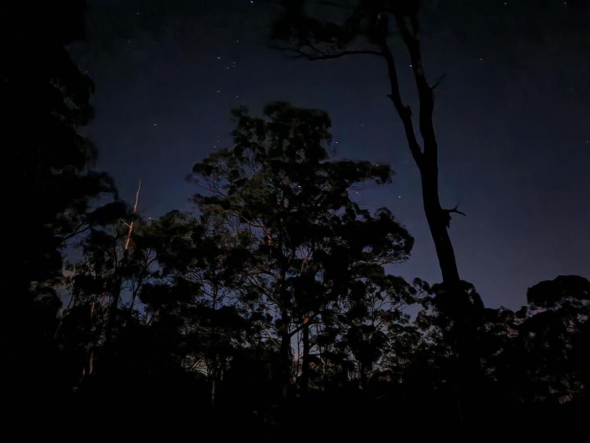 Oakey Creek Country Retreat Kenilworth Guest House Gheerulla Luaran gambar